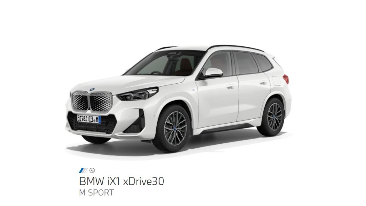 BMW iX1x30